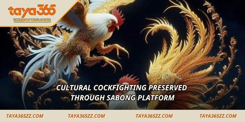 Cultural cockfighting preserved through sabong platform