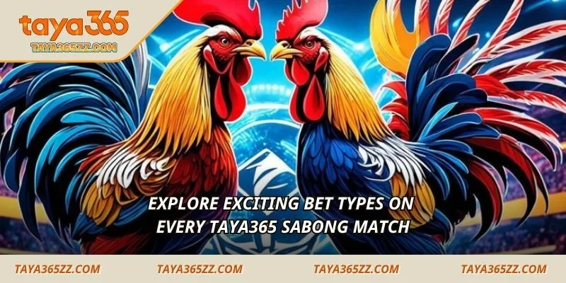 Explore exciting bet types on every TAYA365 Sabong match