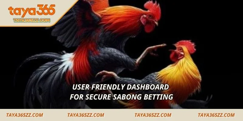 User friendly dashboard for secure Sabong betting