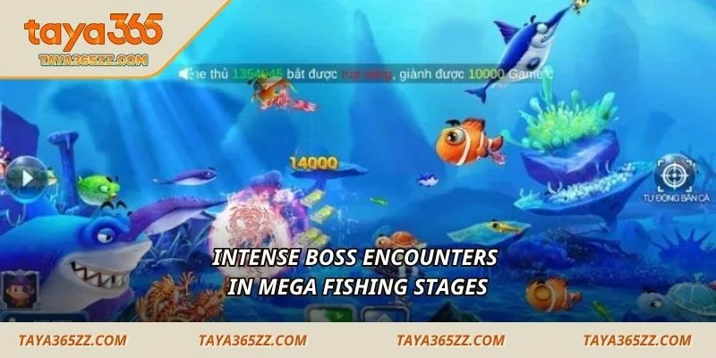 Intense boss encounters in mega fishing stages