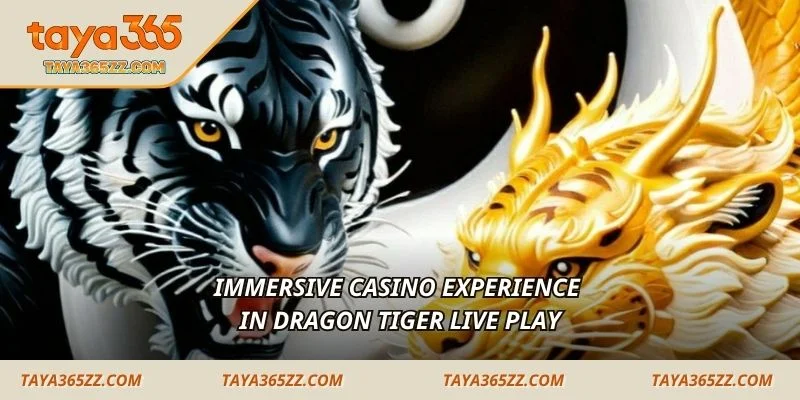 Immersive casino experience in dragon tiger live play