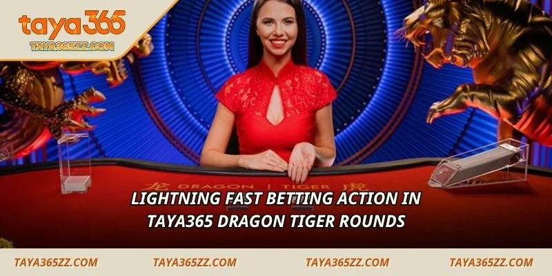  Lightning fast betting action in TAYA365 dragon tiger rounds