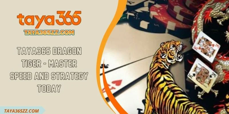 TAYA365 Dragon Tiger - Master Speed and Strategy Today