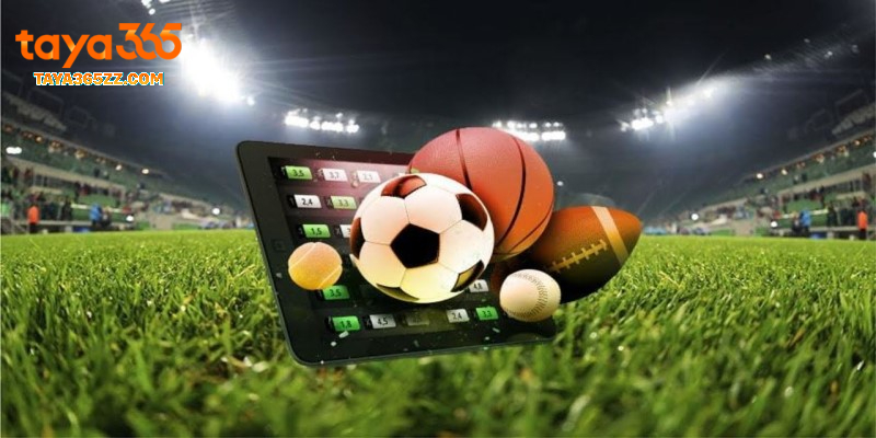 Key Features of the Best Sports Betting Sites