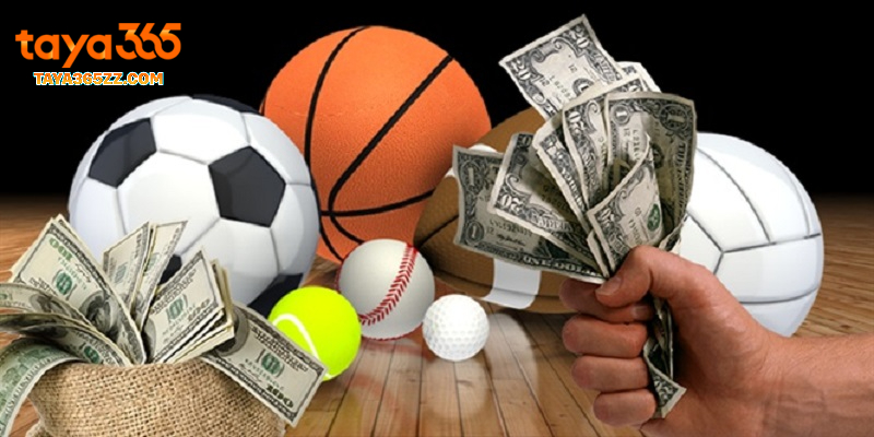 best sports betting sites