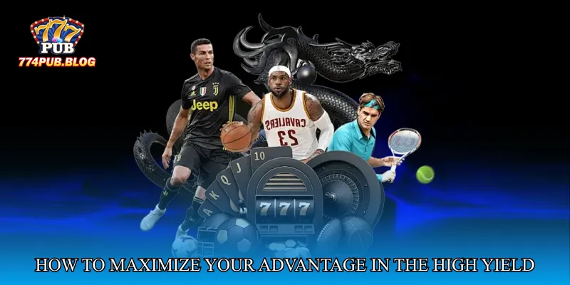 How to Maximize Your Advantage in the High Yield Odds Arena
