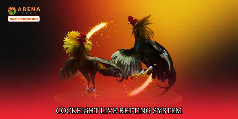 Cockfight Live Betting System