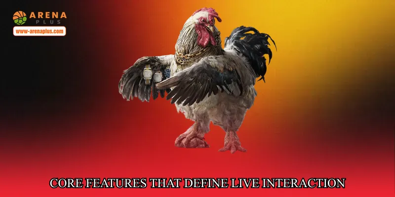 Core Features That Define Live Interaction