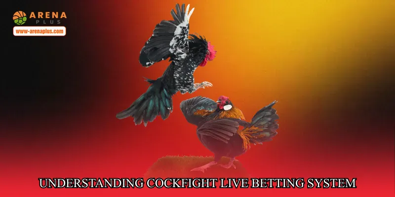 Understanding Cockfight Live Betting System