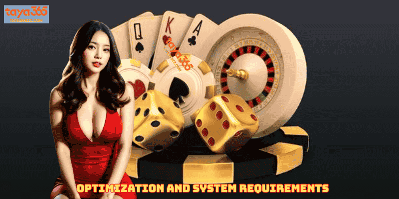 Optimization and System Requirements
